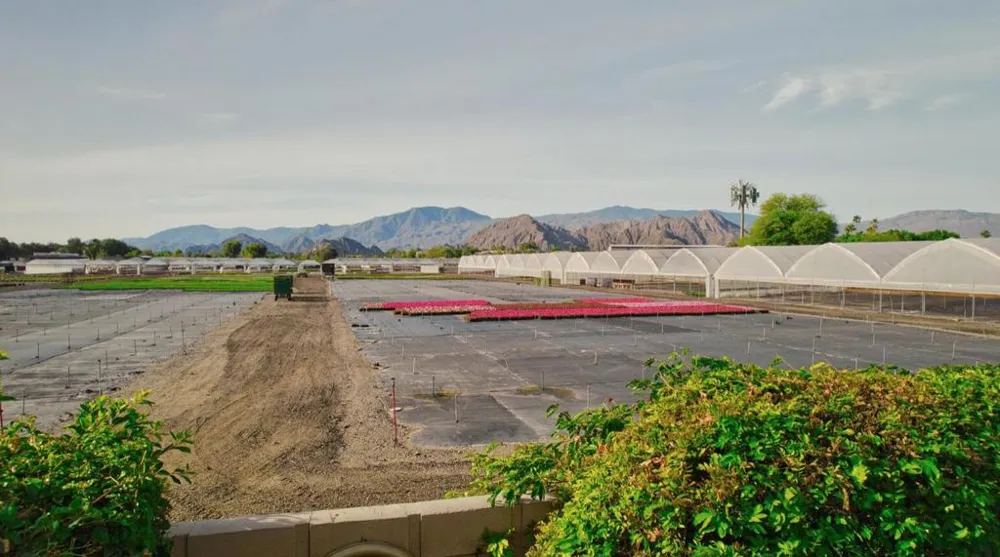 78279 Calico Glen Drive Indio, CA 92203