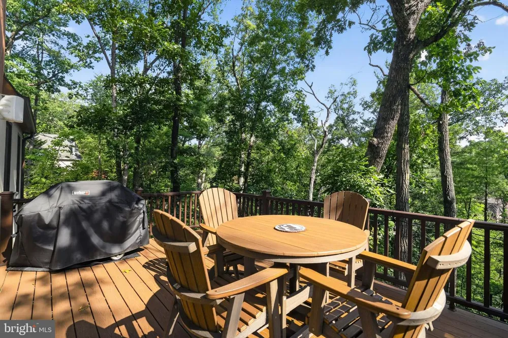 144 CONNIE ROAD Basye, VA 22810