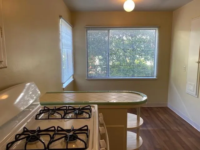 1125 Laguna Avenue #1 Burlingame, CA 94010