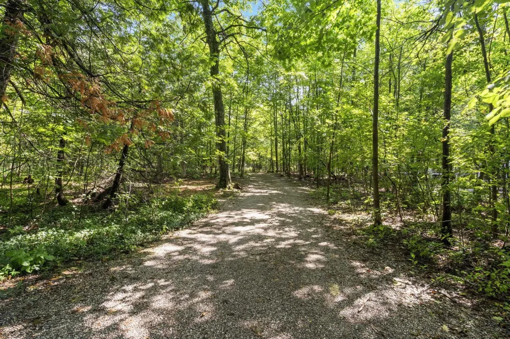 2565 Shore Wood Drive Peninsula Township, MI 49686