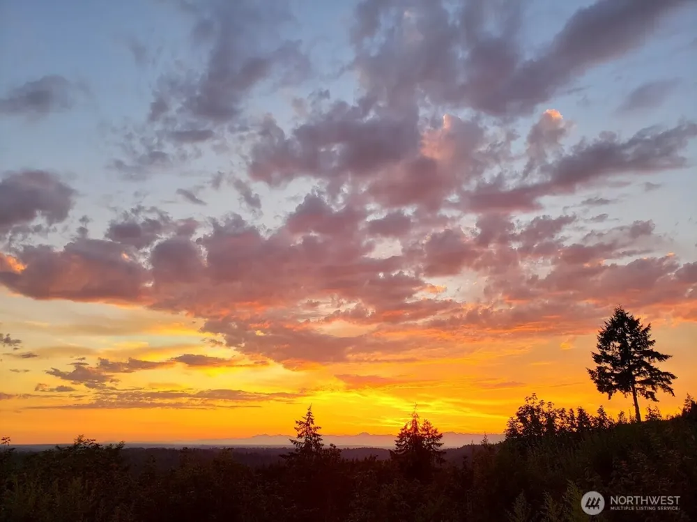 12065 206th Place SE Issaquah, WA 98027