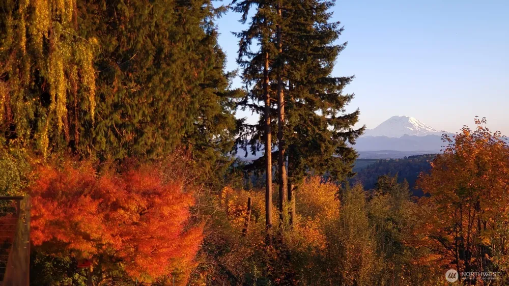 12065 206th Place SE Issaquah, WA 98027