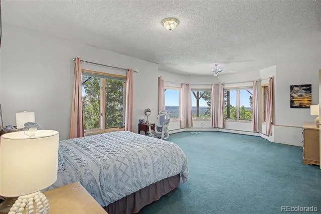 3111 Constellation Drive Colorado Springs, CO 80906