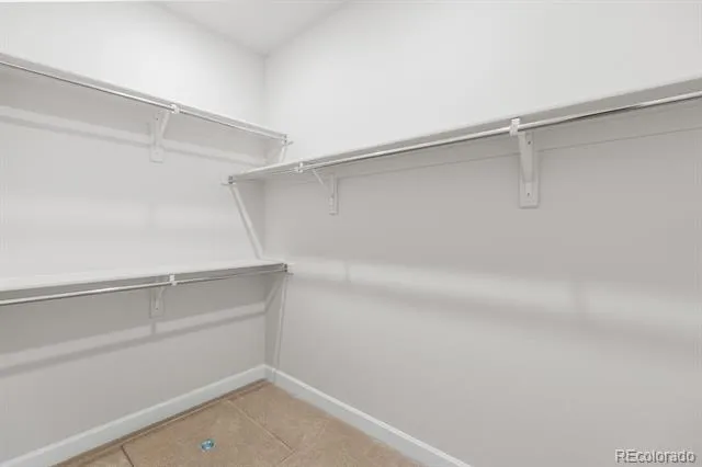 2345 Drummle Drive Castle Rock, CO 80104
