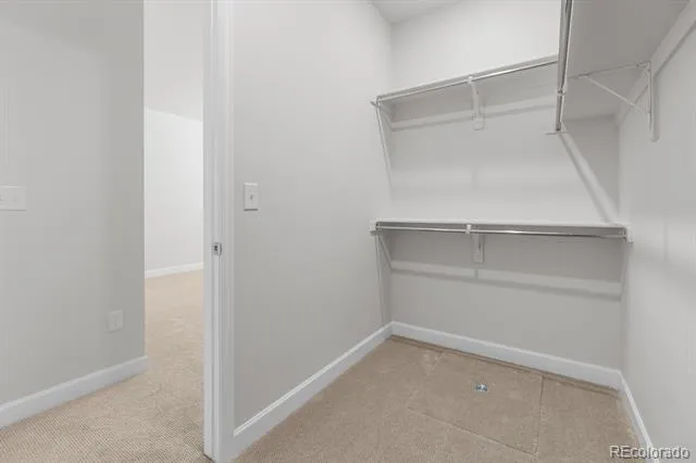 2345 Drummle Drive Castle Rock, CO 80104