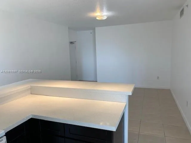115 SW 42nd Ave #504 Miami, FL 33134