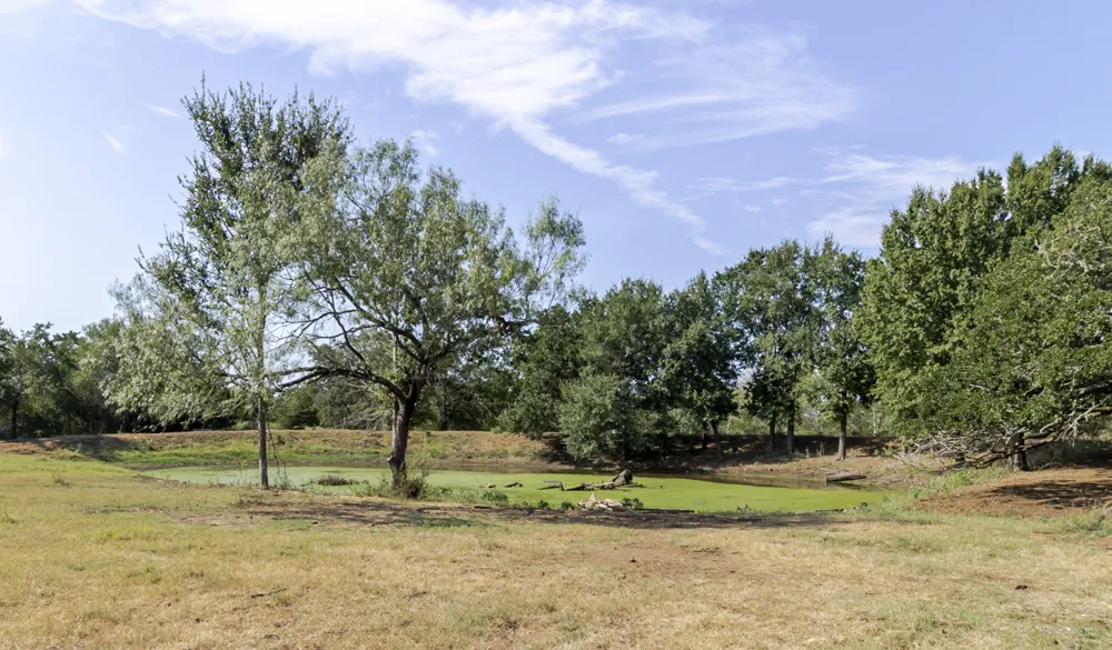 2015 TX-21 Paige, TX 78659