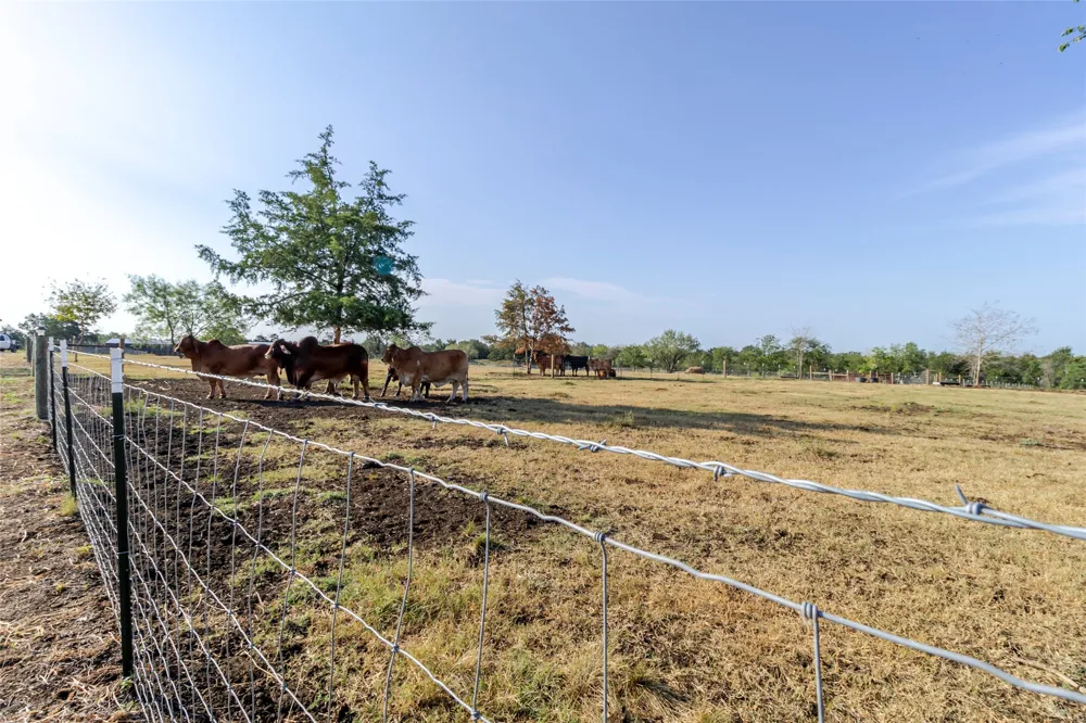 2015 TX-21 Paige, TX 78659