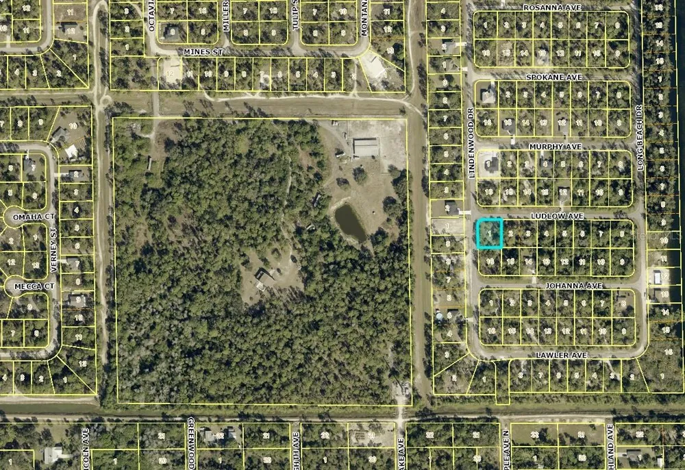 315 LUDLOW AVENUE Lehigh Acres, FL 33972