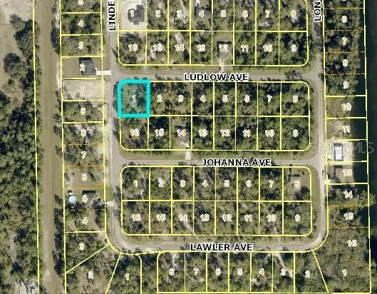 315 LUDLOW AVENUE Lehigh Acres, FL 33972