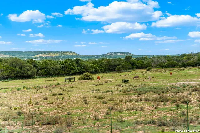834 NORTHWOOD HILLS DR Fredericksburg, TX 78624