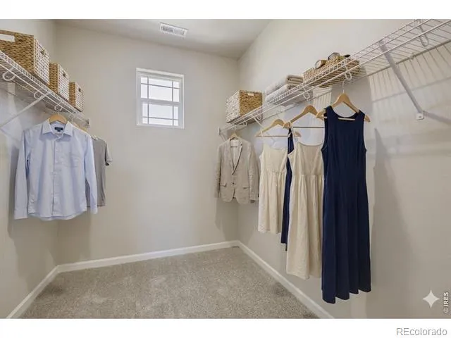 641 Noola Street Windsor, CO 80550