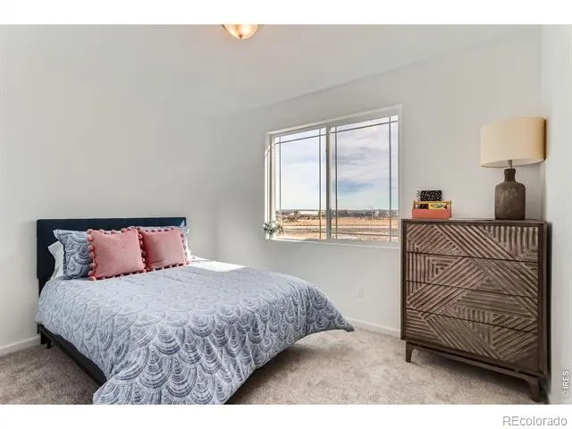 641 Noola Street Windsor, CO 80550