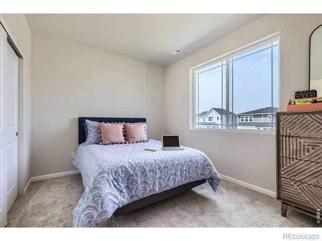 641 Noola Street Windsor, CO 80550