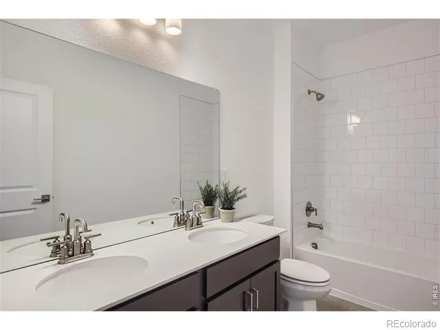 641 Noola Street Windsor, CO 80550