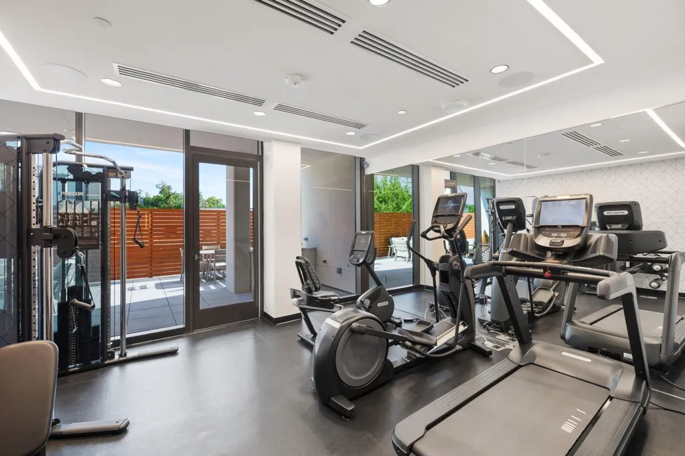 2323 W Main Street #305 Houston, TX 77098