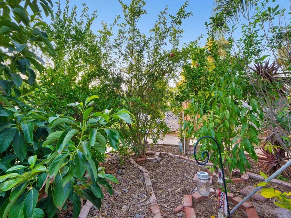 886 Singing Trails Drive El Cajon, CA 92019