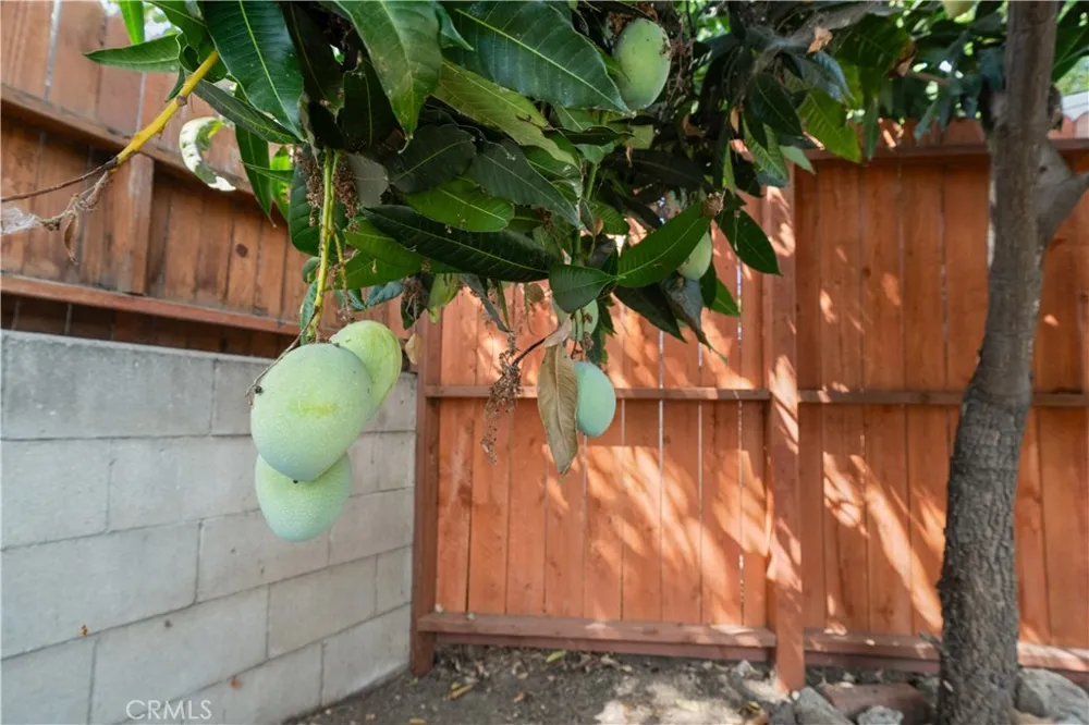 1766 Benedict Way Pomona, CA 91767