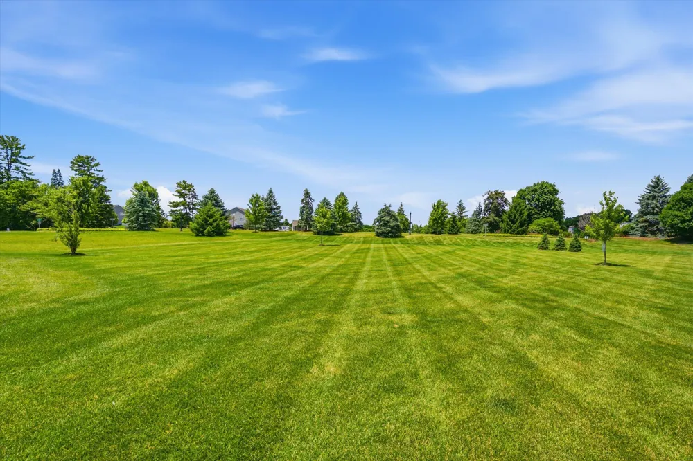 10282 High Meadow Saline, MI 48176
