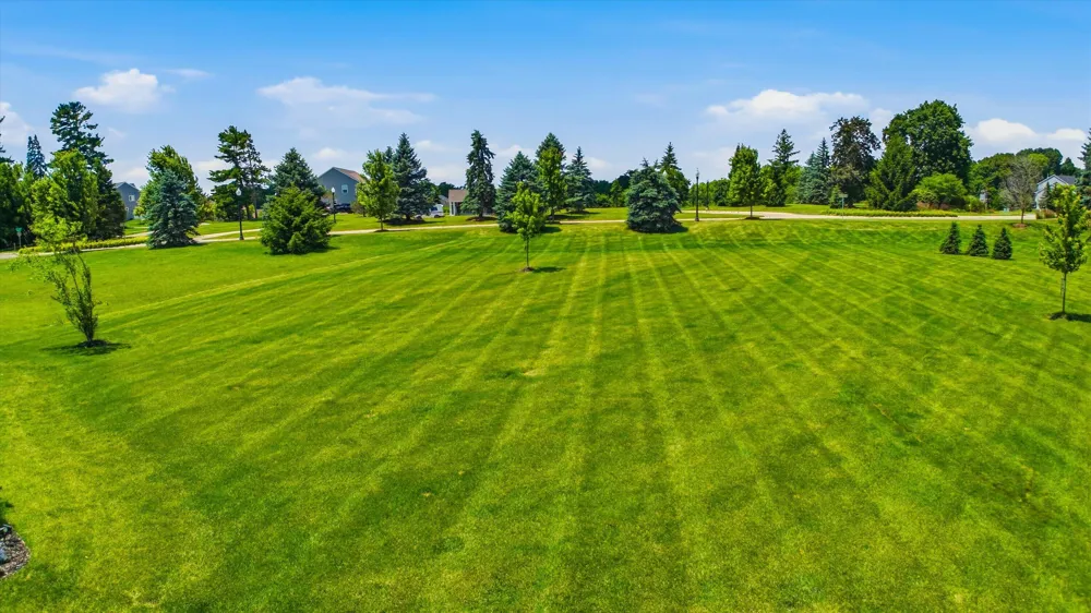 10282 High Meadow Saline, MI 48176
