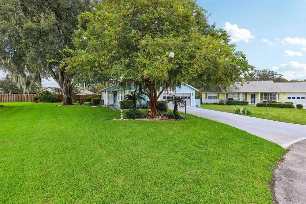 1607 SELKIRK DRIVE Leesburg, FL 34788