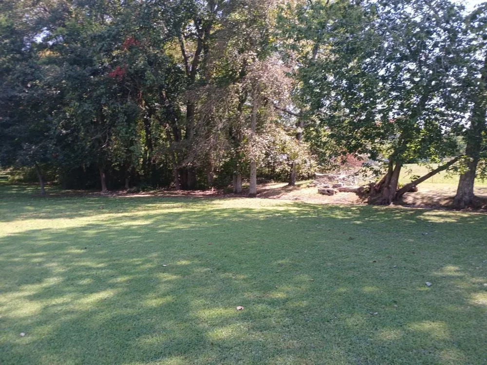 67 Jenkins Dr Fayetteville, TN 37334