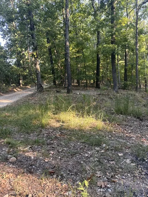 Windsong Lane