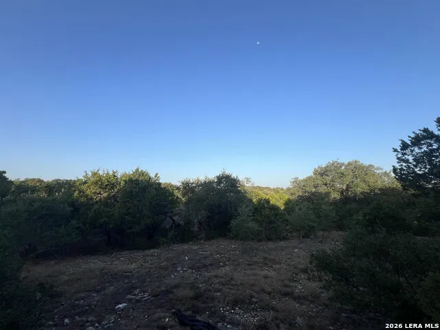 203 WINCHESTER DR Bergheim, TX 78004