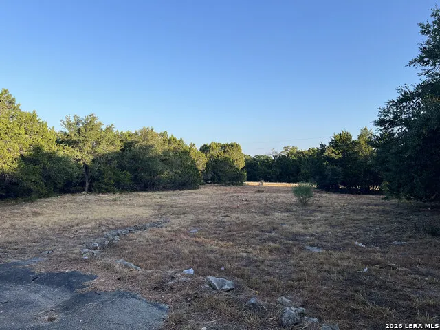 203 WINCHESTER DR Bergheim, TX 78004