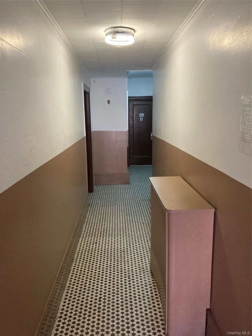 7221 67th Street Ridgewood, NY 11385
