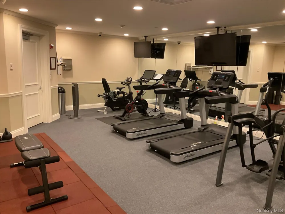 427 Trump Park Shrub Oak, NY 10588
