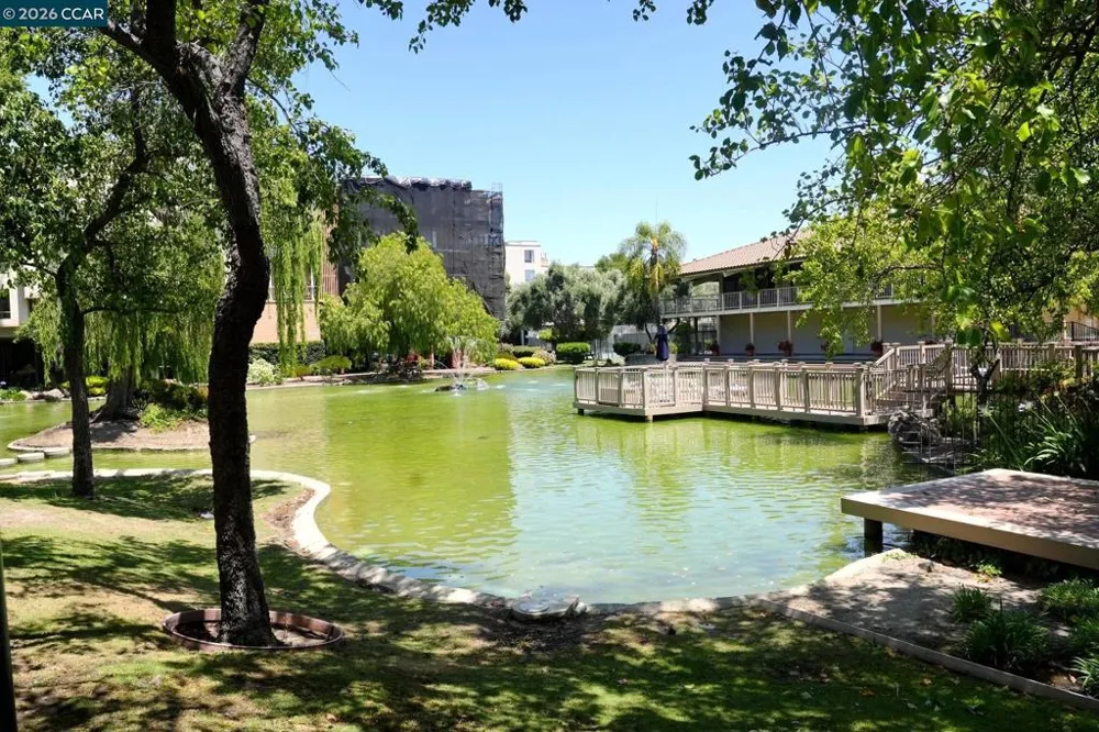 440 Civic Dr #203 Walnut Creek, CA 94596