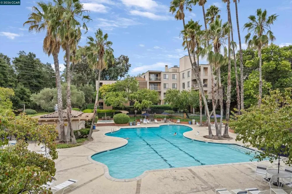 440 Civic Dr #203 Walnut Creek, CA 94596