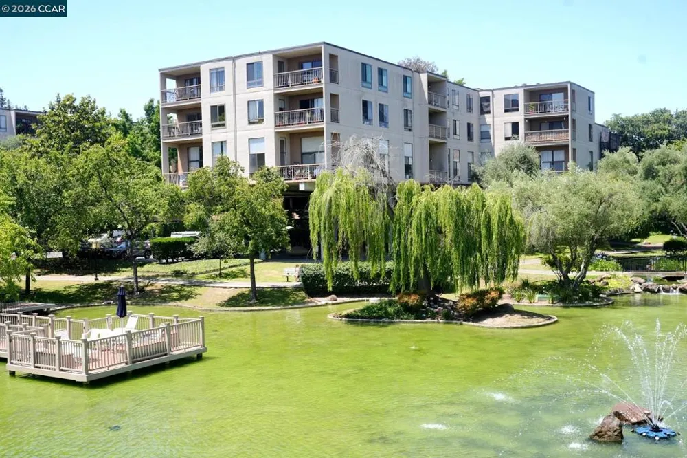 440 Civic Dr #203 Walnut Creek, CA 94596