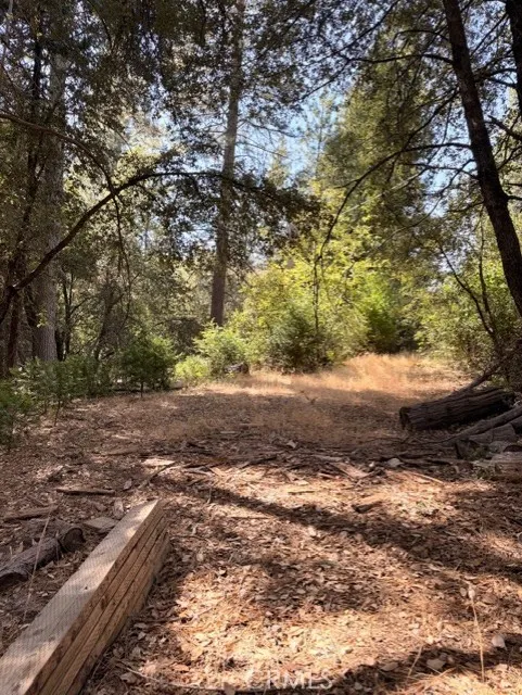 S Cedar Ridge Oakhurst, CA 93644