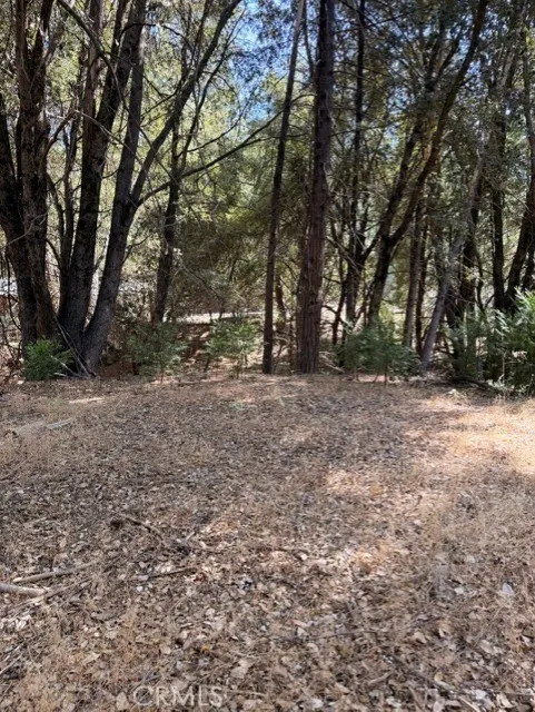 S Cedar Ridge Oakhurst, CA 93644