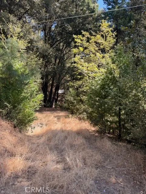 S Cedar Ridge Oakhurst, CA 93644
