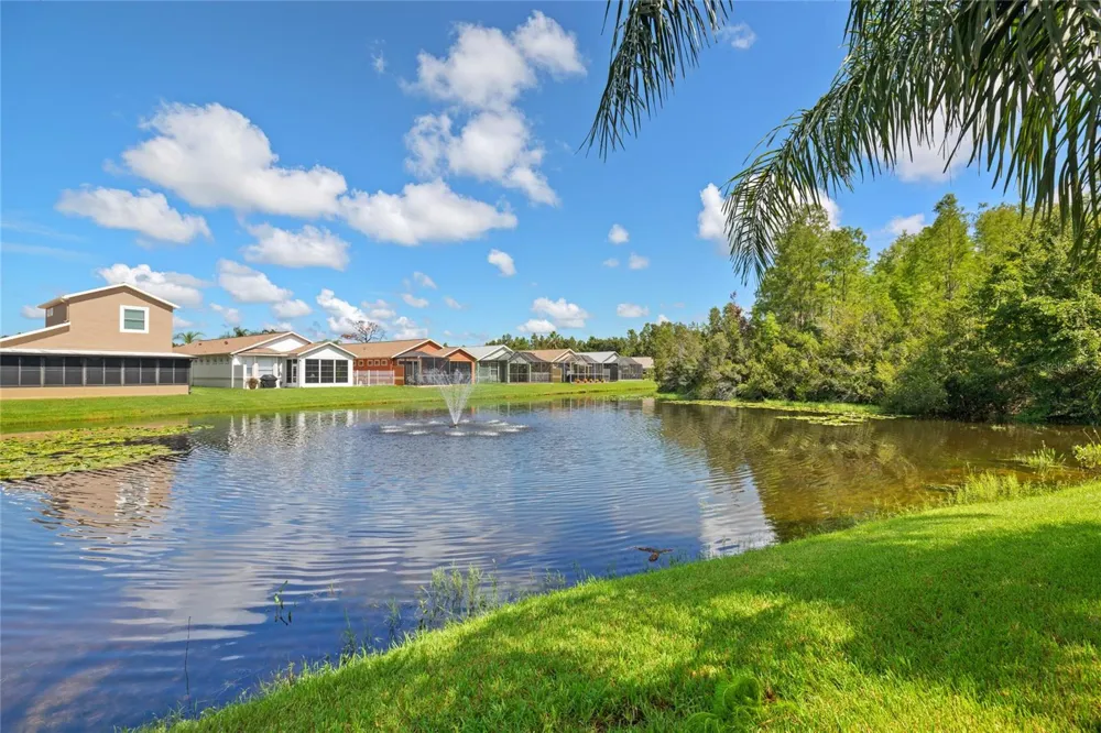 21143 DIAMONTE DRIVE Land O Lakes, FL 34637