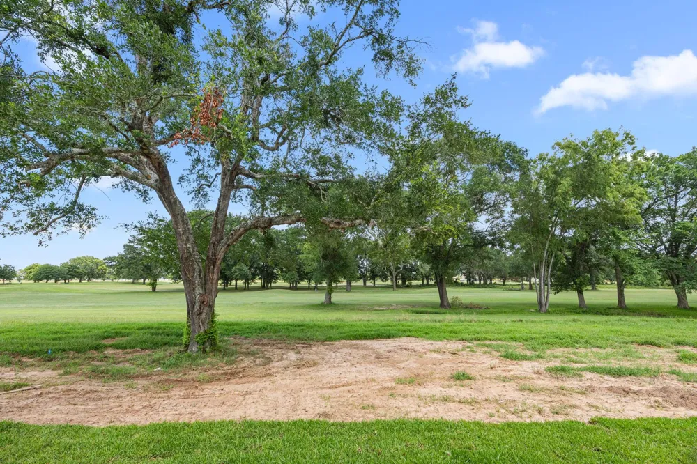 210 Birdie Drive Hempstead, TX 77445