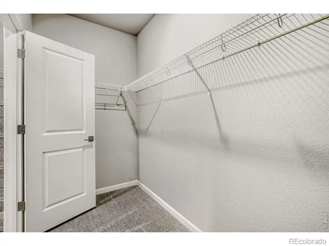 648 Noola Street Windsor, CO 80550
