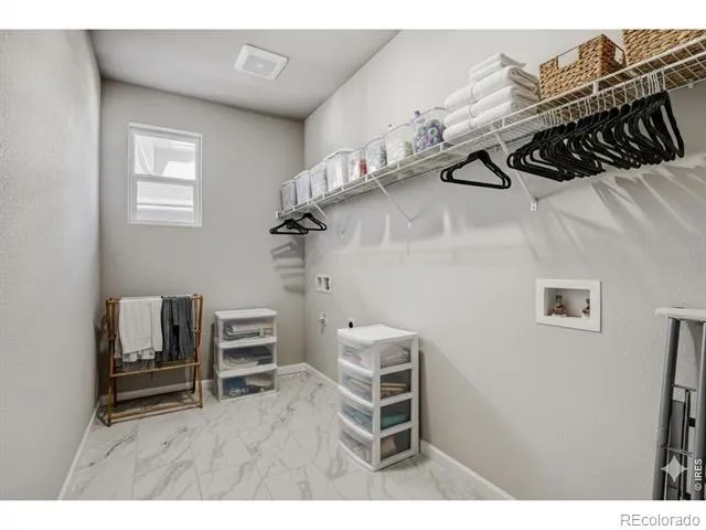 648 Noola Street Windsor, CO 80550