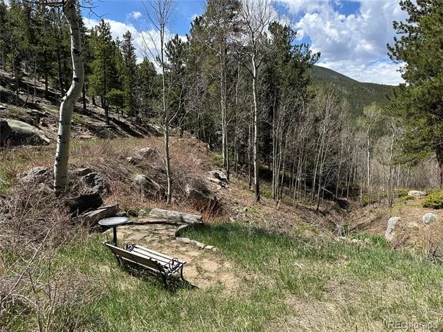 72 Rudi Ln W Golden, CO 80403