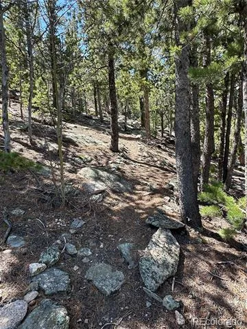 72 Rudi Ln W Golden, CO 80403