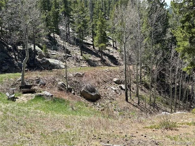 72 Rudi Ln W Golden, CO 80403