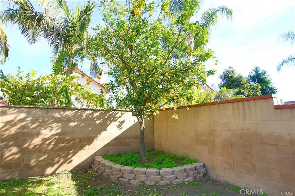 13597 Scarborough Chino, CA 91710