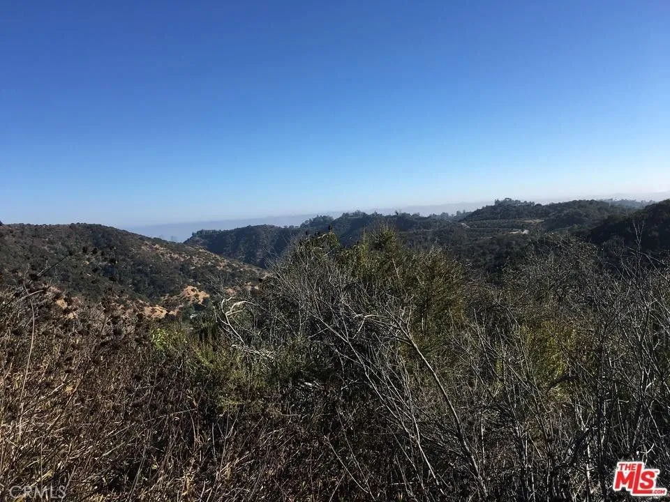 2425 Kleinart Lane Beverly Hills, CA 90210