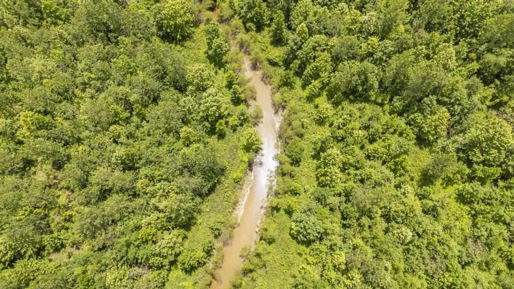 904 CAPOOTH RD Ramer, TN 38367