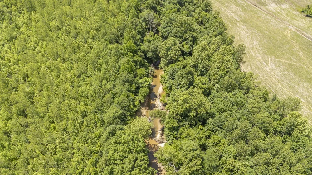 904 CAPOOTH RD Ramer, TN 38367