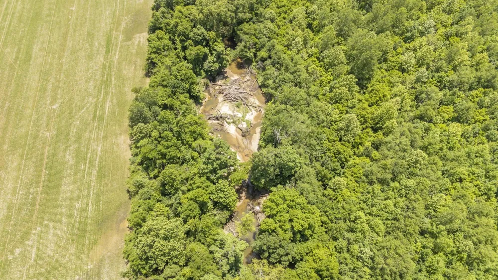 904 CAPOOTH RD Ramer, TN 38367