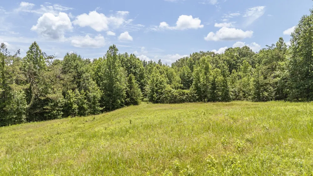 904 CAPOOTH RD Ramer, TN 38367